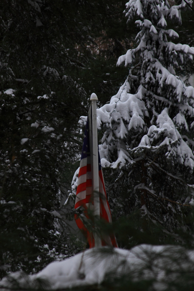 2011 01 12 IMG 16296
